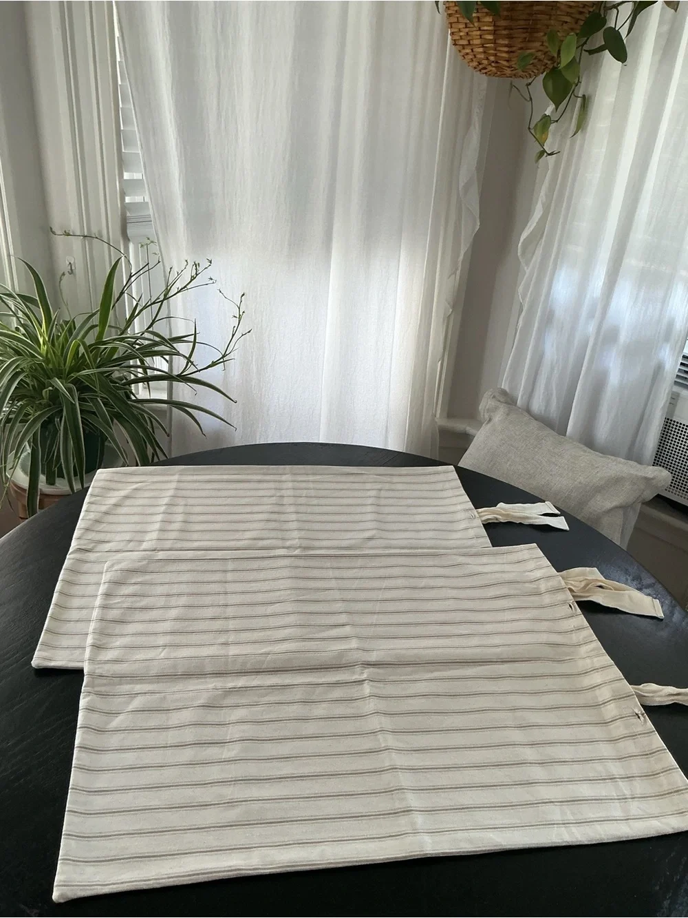 NWOT Pair of Ticking BALLARD SHAMS
